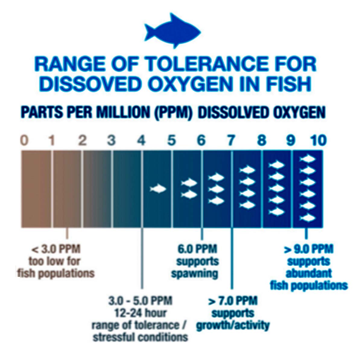 Dissolved Oxygen (DO) ความสำคัญต่อปลาและสิ่งมีชีวิตในน้ำ