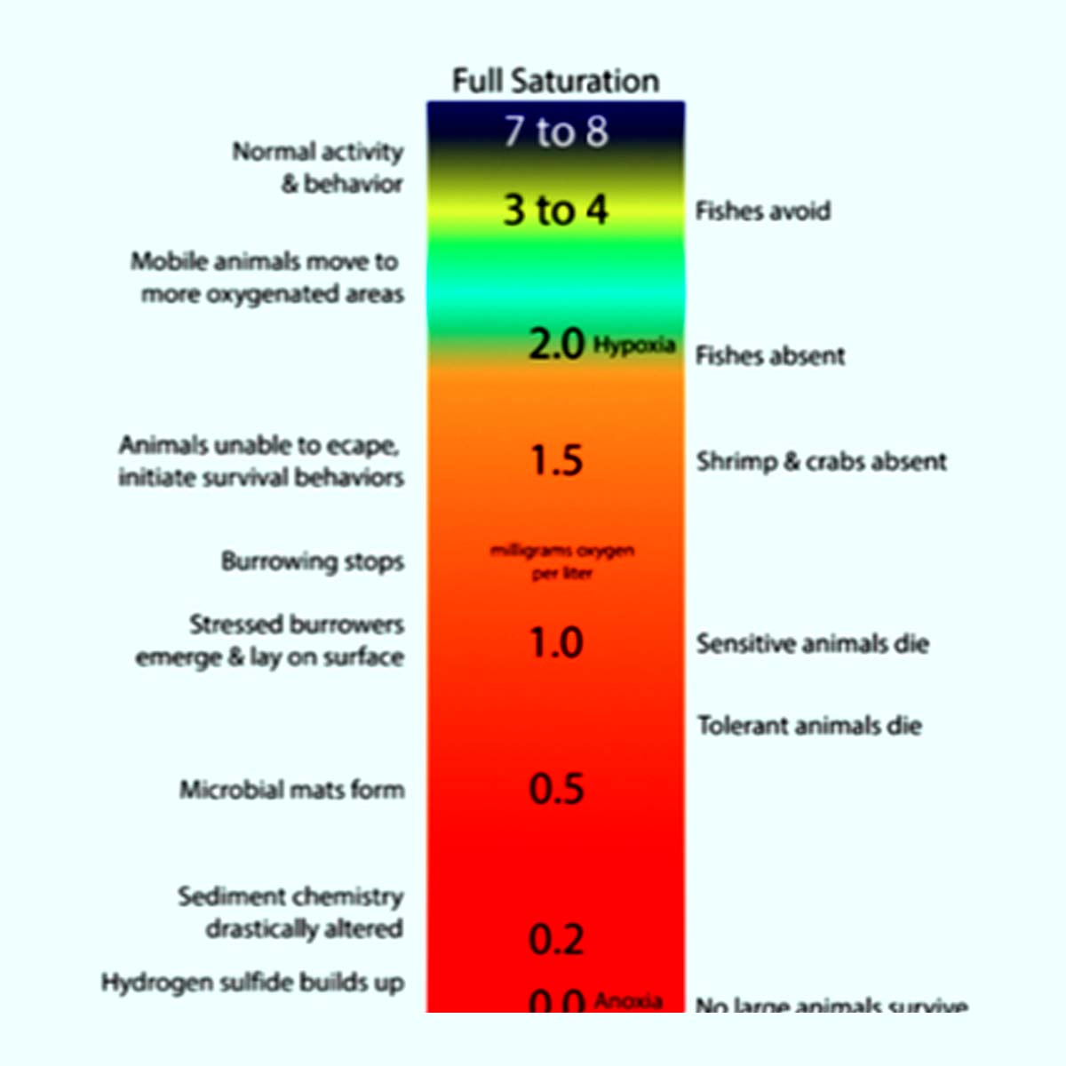 ความสำคัญของ Dissolved Oxygen (DO) ต่อปลาในน้ำ